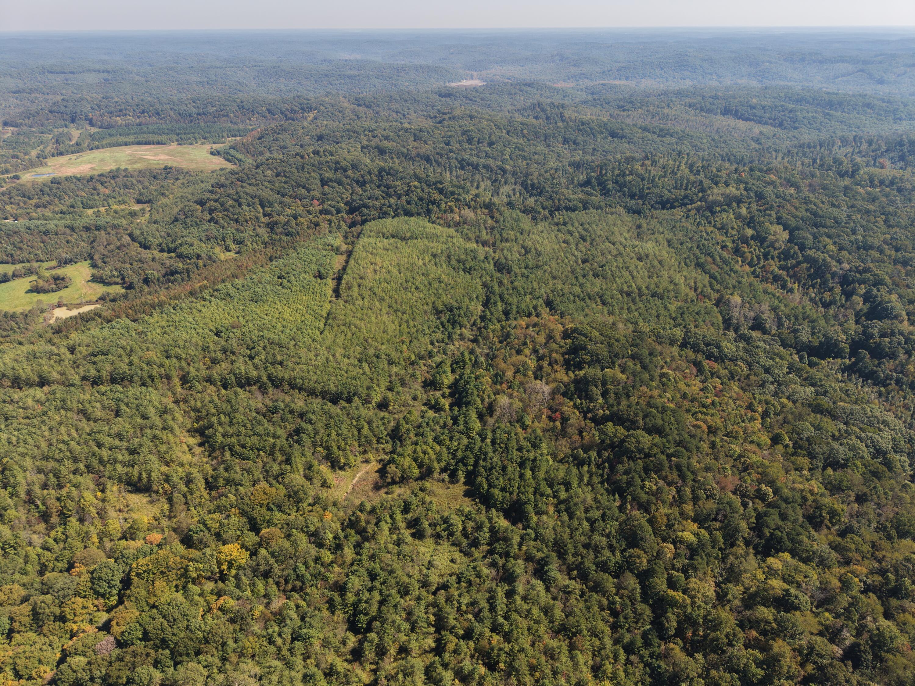 Aerial view of dense woodland with scattered clearings and patches of autumn color.