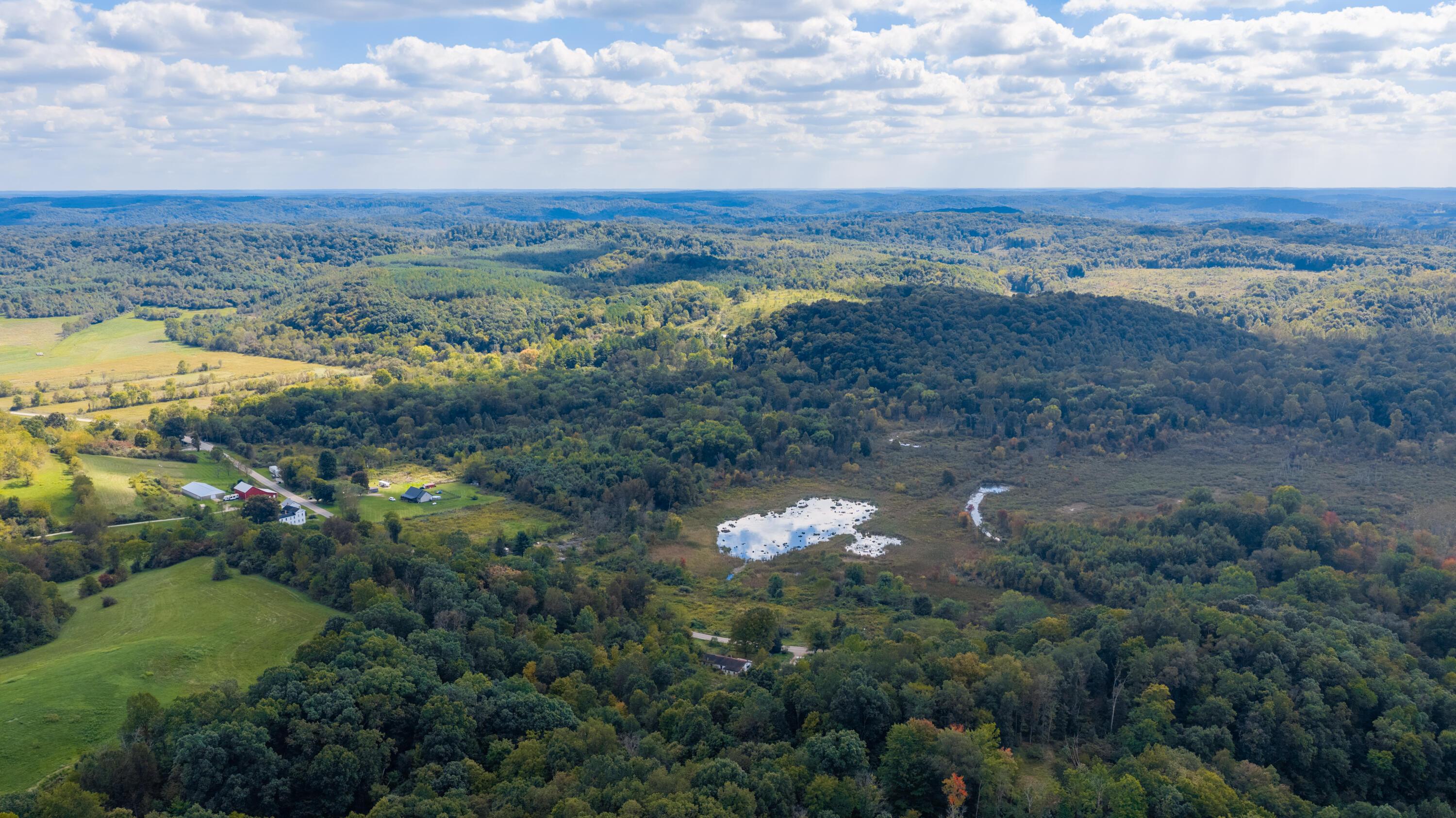 Aerial view of wooded acreage, open fields, farm buildings, and a marshy pond.