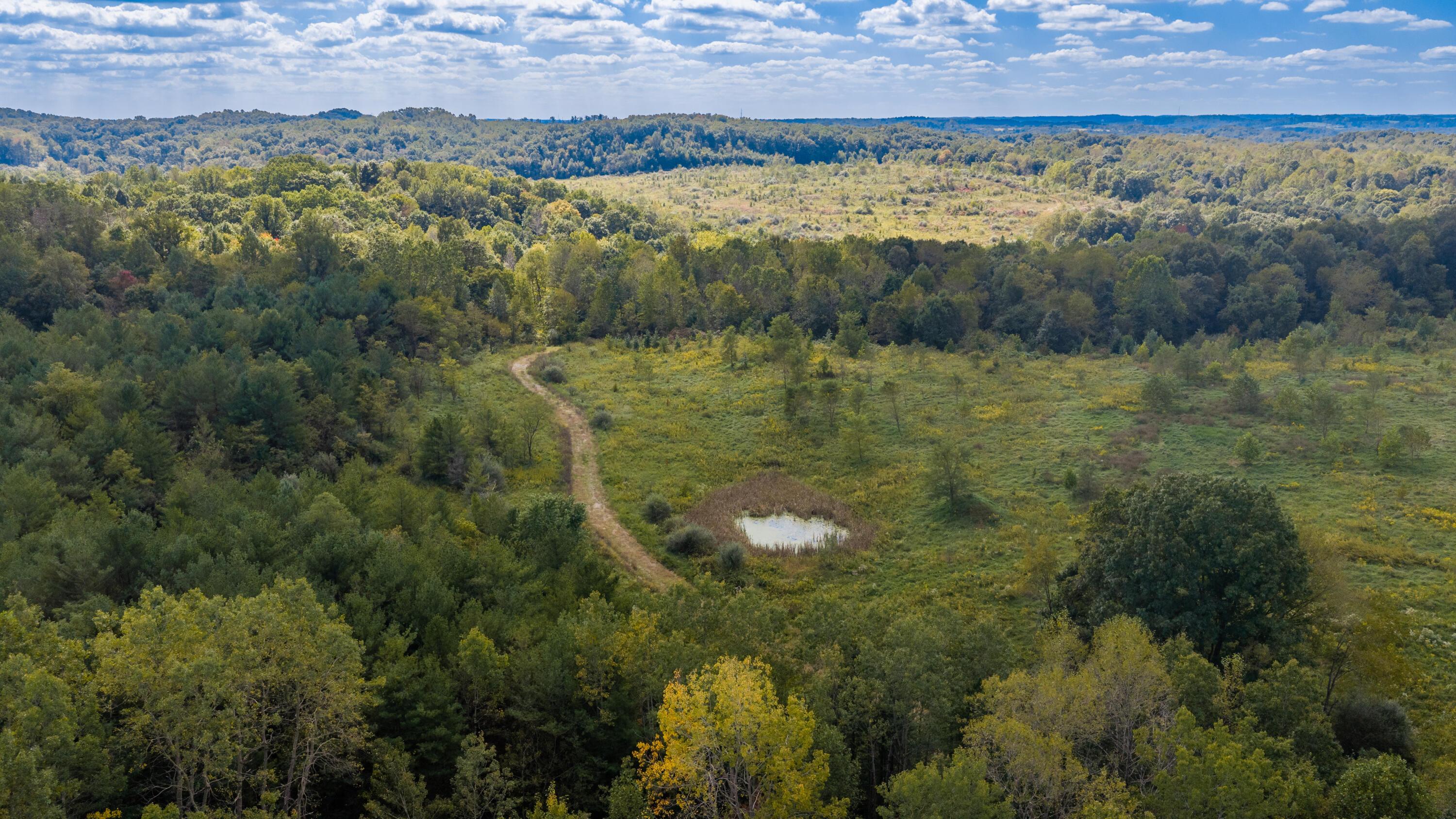Aerial view of wooded acreage with an open meadow, small pond, and winding dirt track.