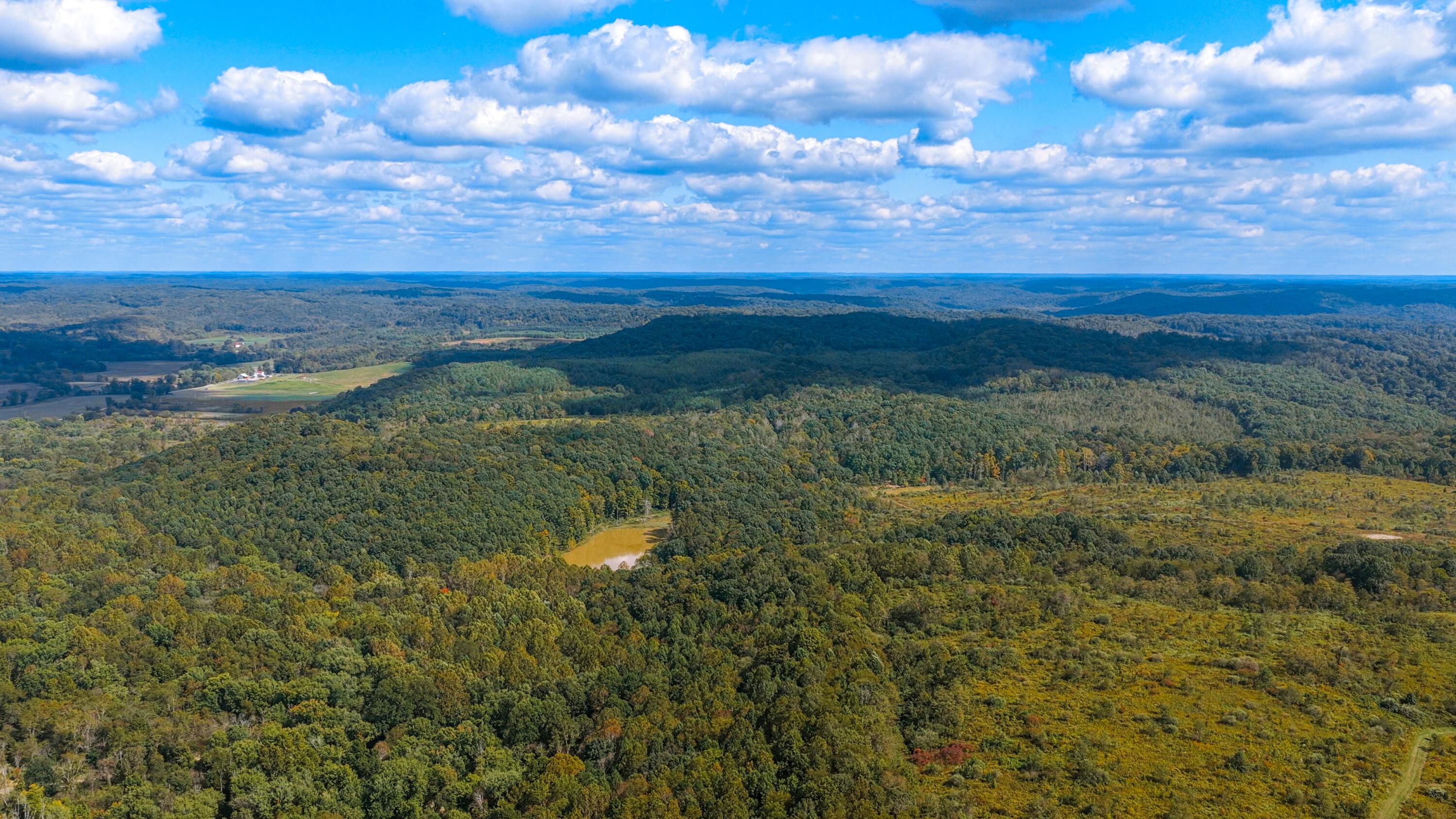 Aerial view of rolling wooded acreage with a small pond and open clearings.