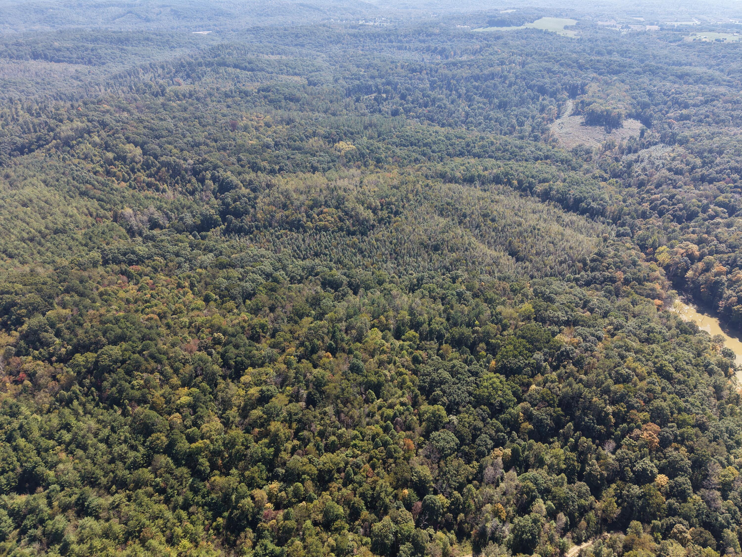 Aerial view of dense wooded acreage with a creek and a clearing in the distance.