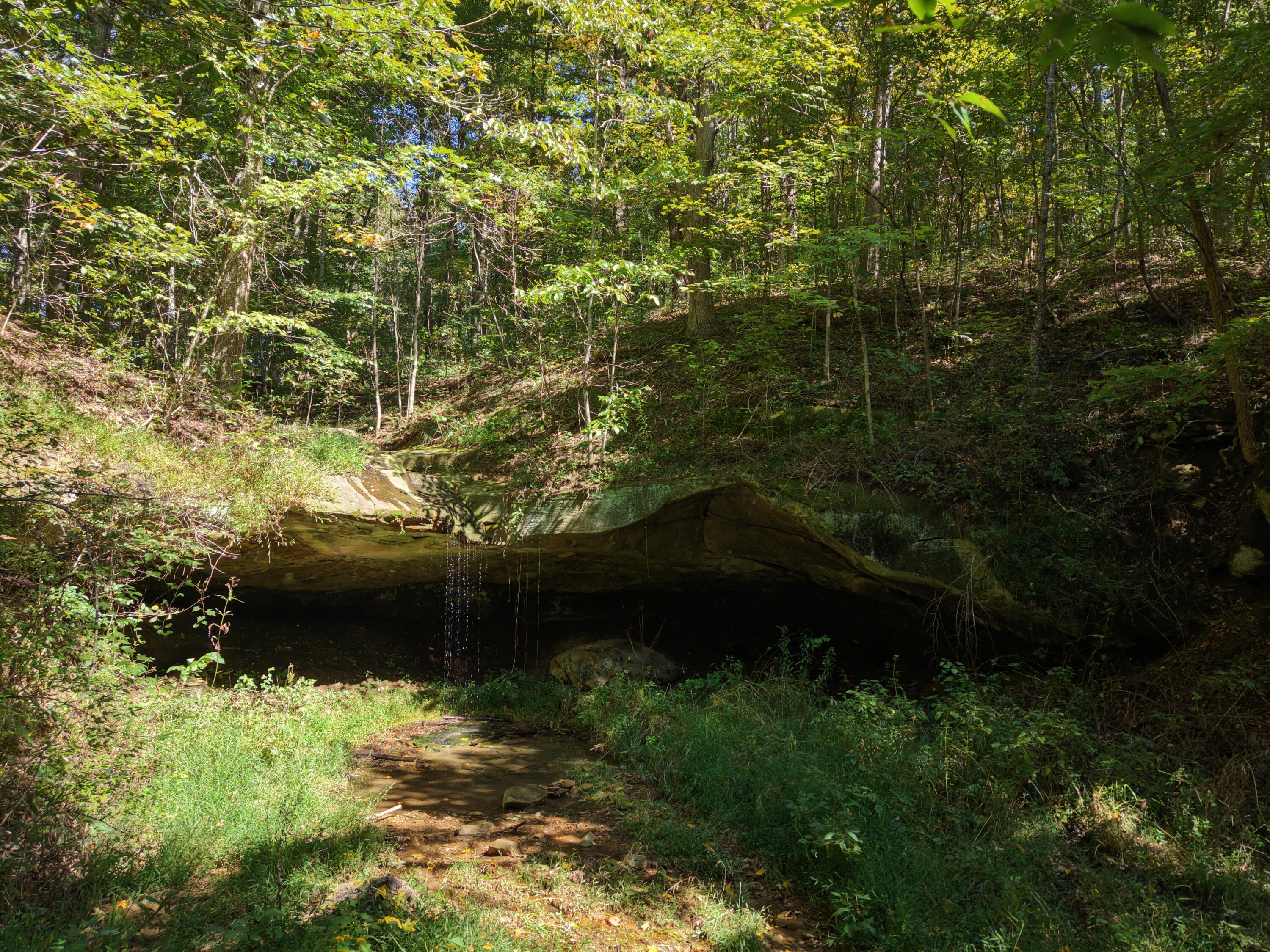Wooded stream beneath a broad rock ledge, surrounded by dense trees and undergrowth.