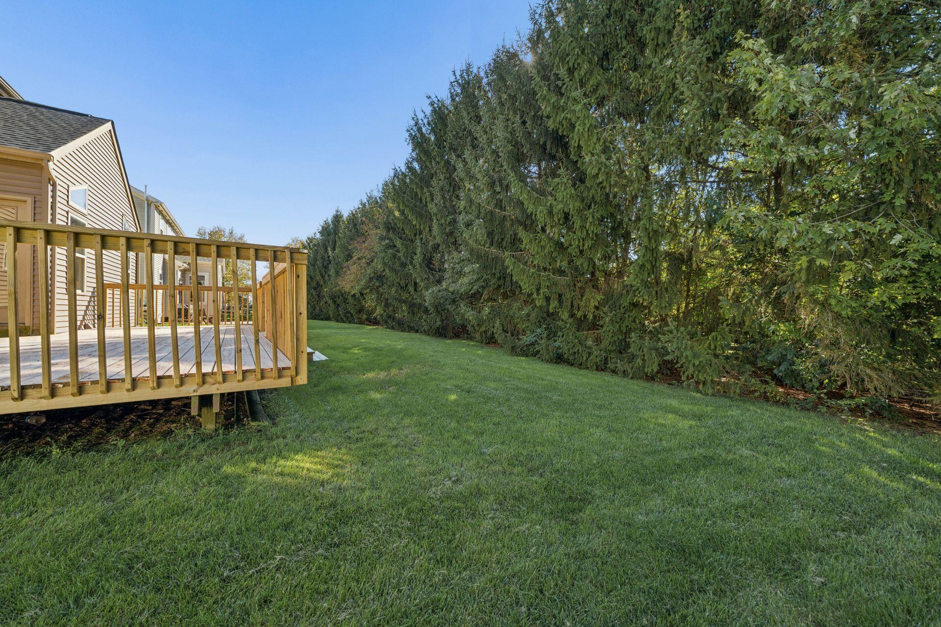 Backyard lawn beside a raised wooden deck, bordered by mature evergreen trees.