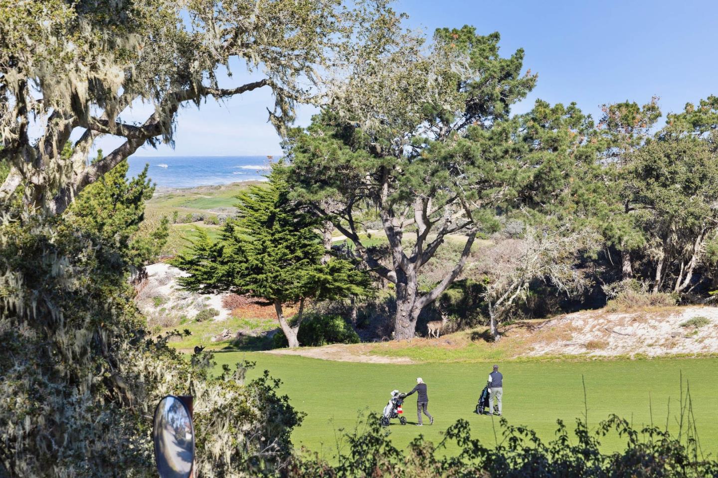 2933 Old 17 Mile Drive