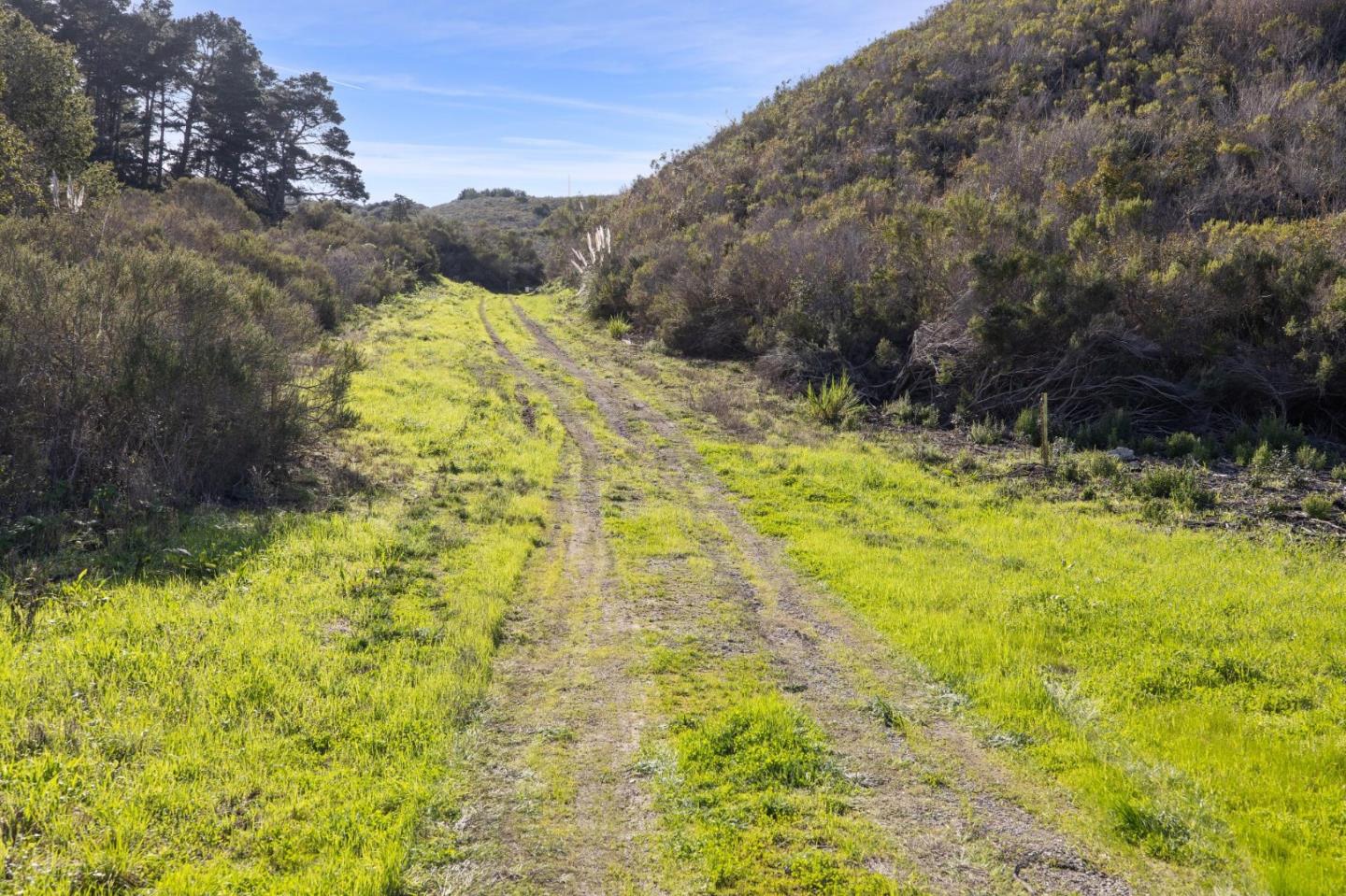 8282 Monterra Ranch (Lot 44)