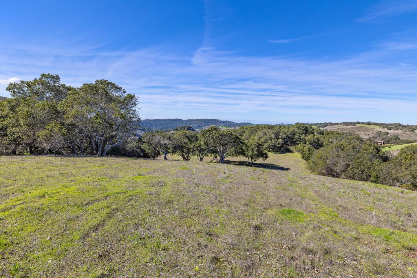 8425 Alta Tierra (Lot 66)