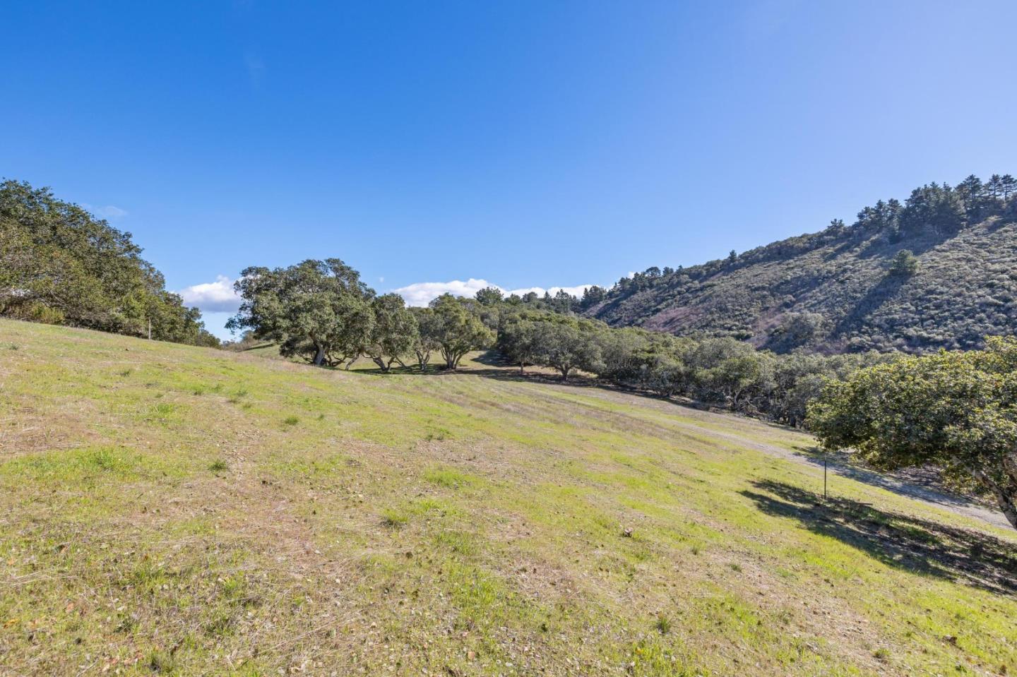 8425 Alta Tierra (Lot 66)