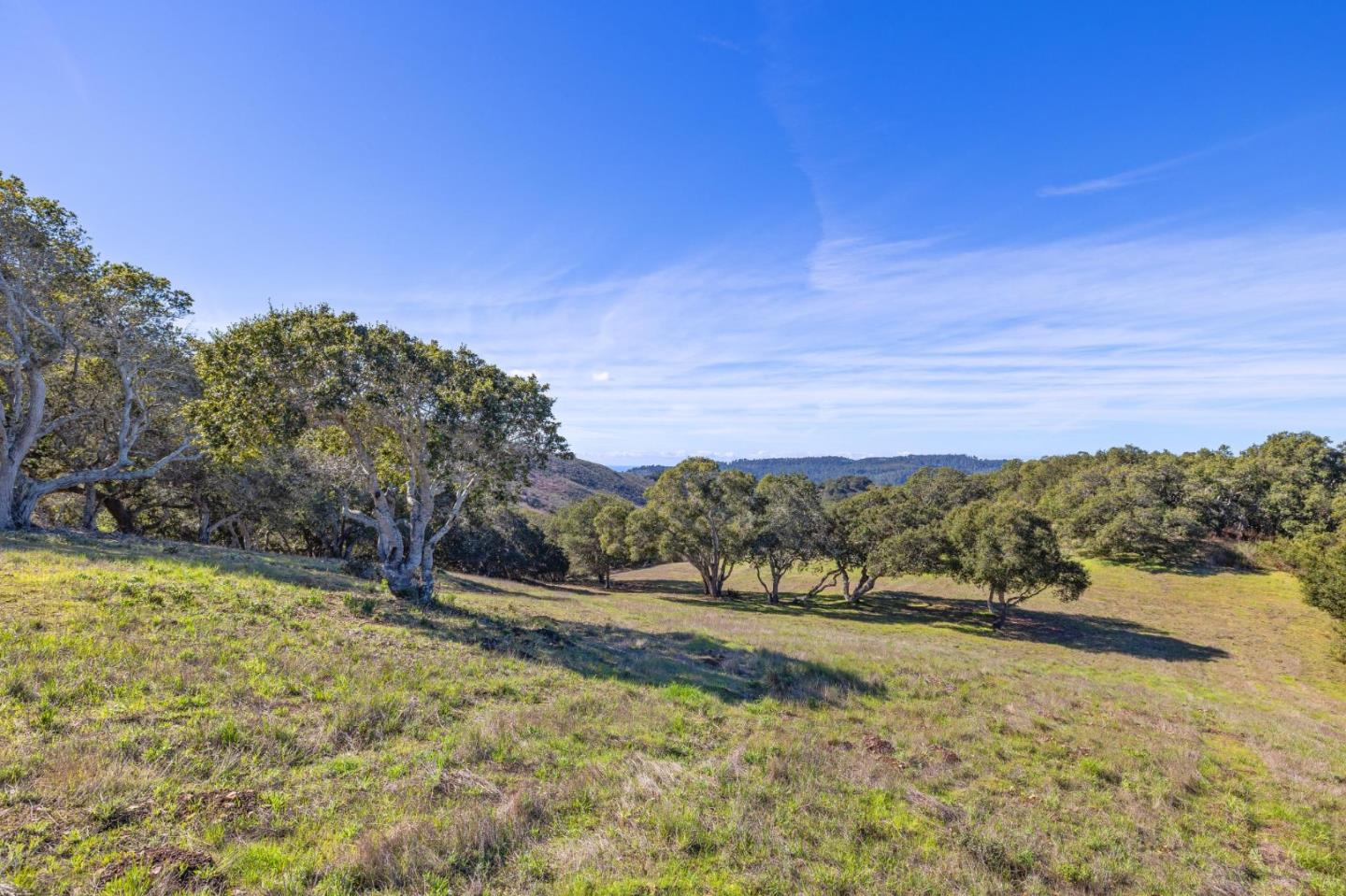 8425 Alta Tierra (Lot 66)