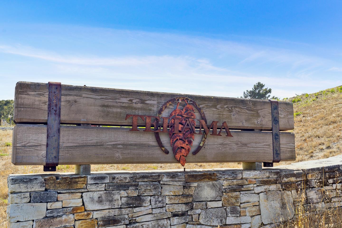 8425 Alta Tierra (Lot 66)