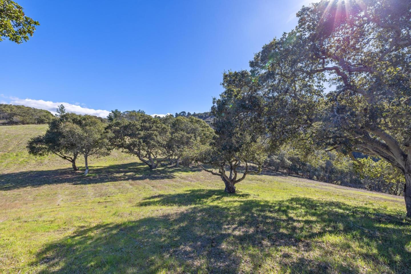 8425 Alta Tierra (Lot 66)