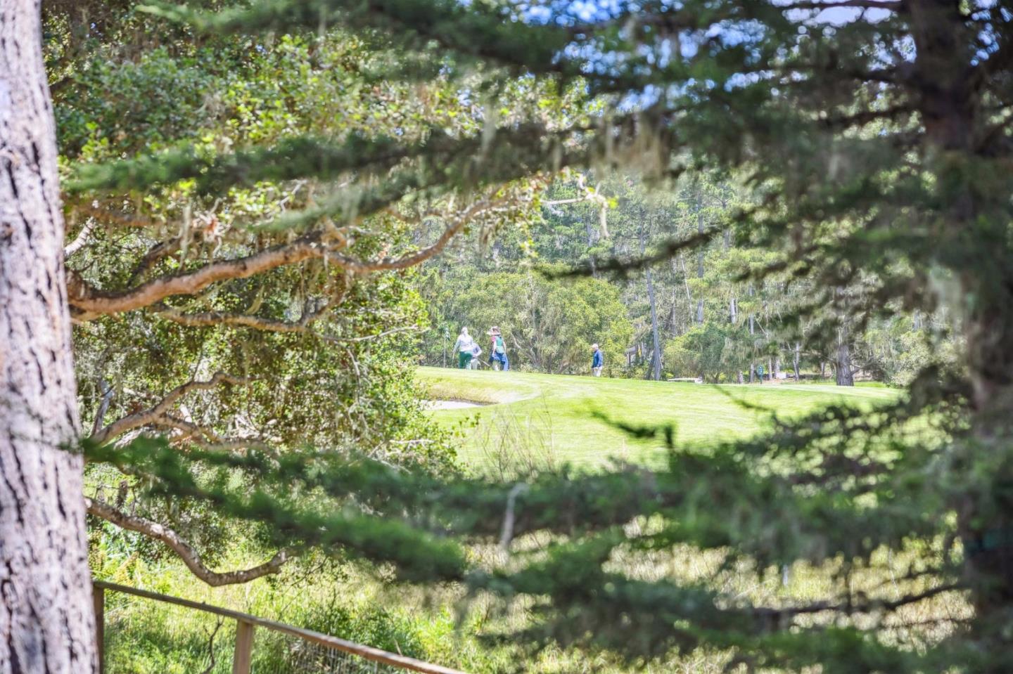 5 Spyglass Woods Drive