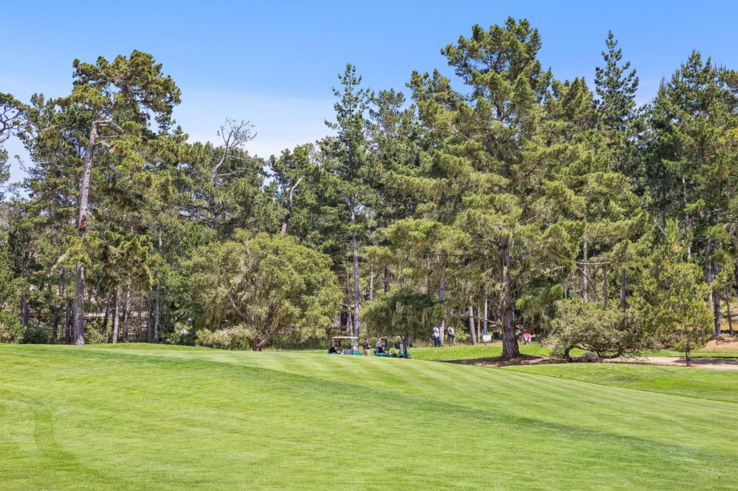 5 Spyglass Woods Drive