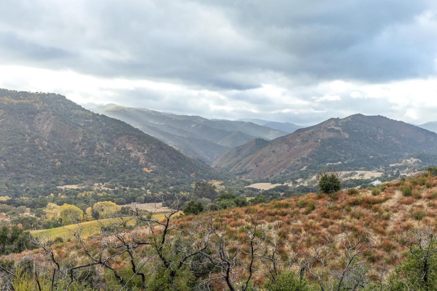 Bernardus Vineyard Carmel Valley