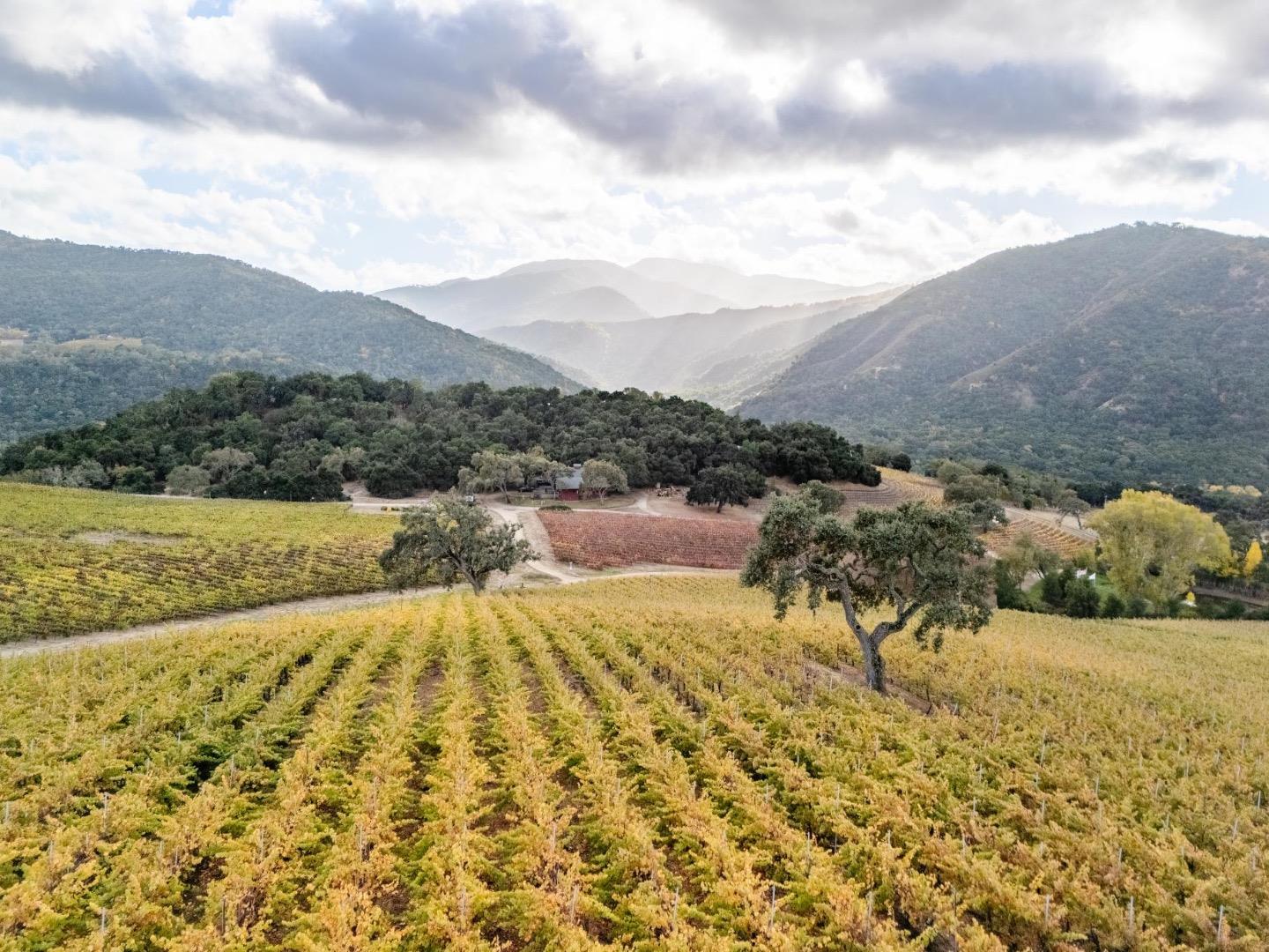 Bernardus Vineyard Carmel Valley