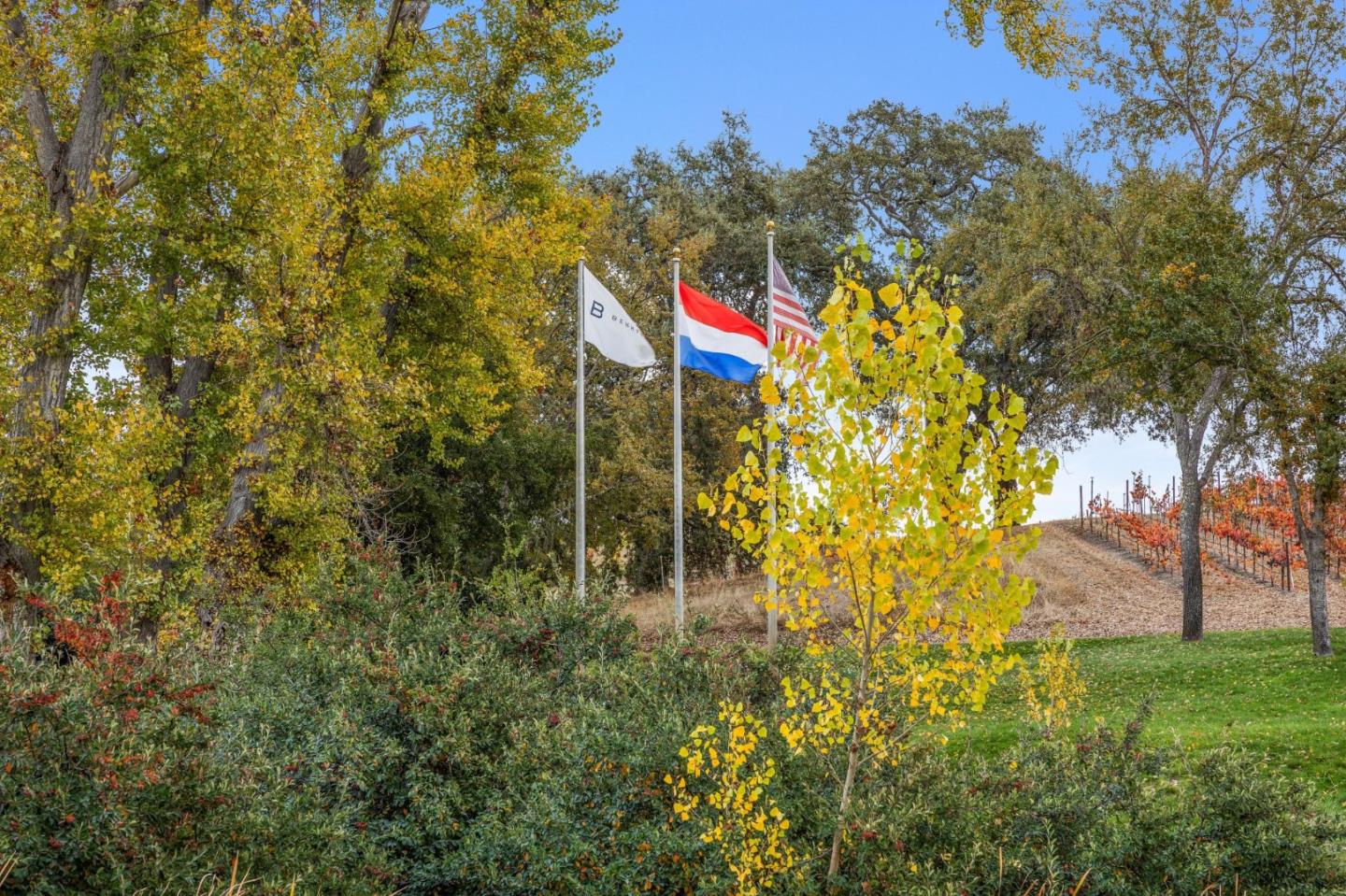 Bernardus Vineyard Carmel Valley