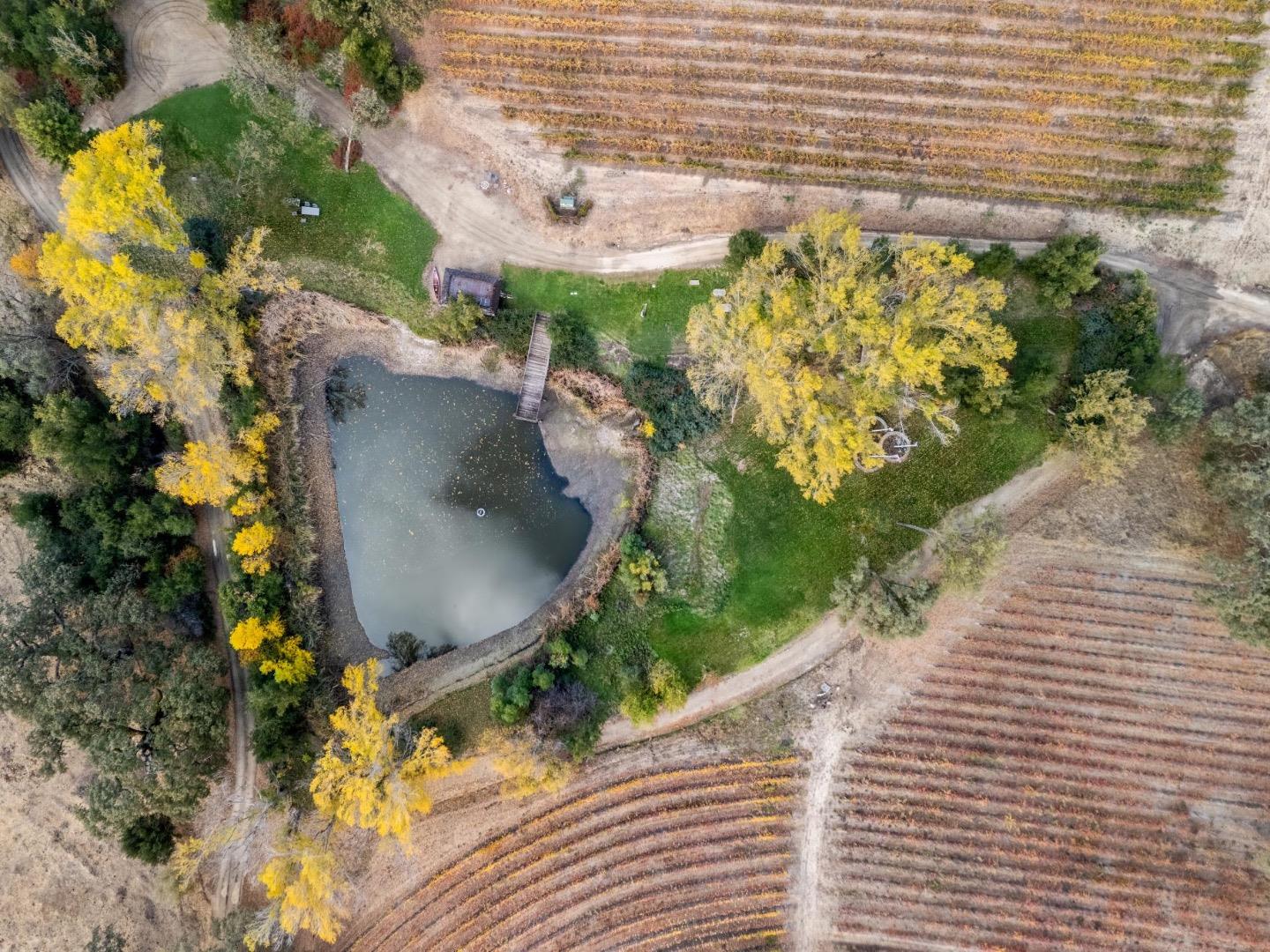 Bernardus Vineyard Carmel Valley