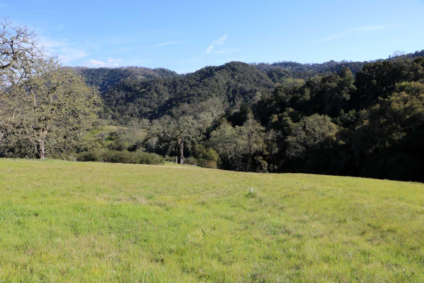 5 Black Mountain Trail (Lot 247) Trail