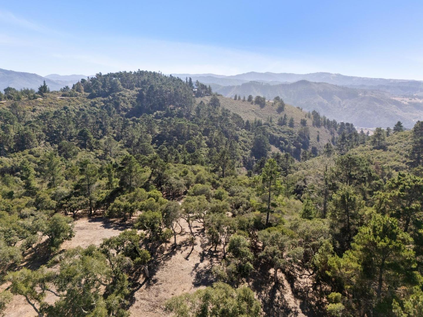 56 Marguerite (Lot 44)