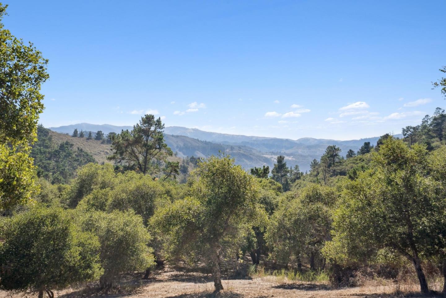 56 Marguerite (Lot 44)