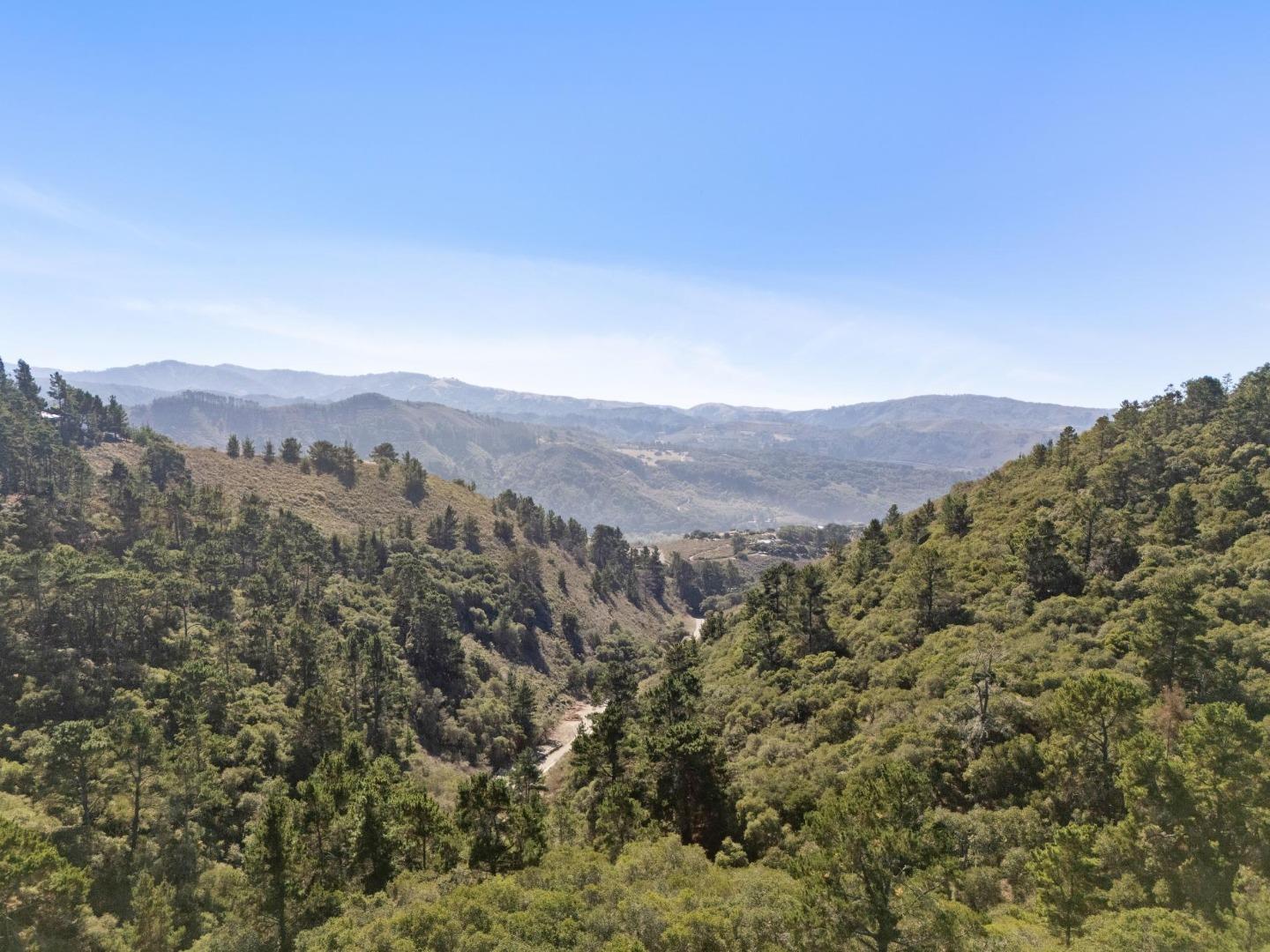 56 Marguerite (Lot 44)