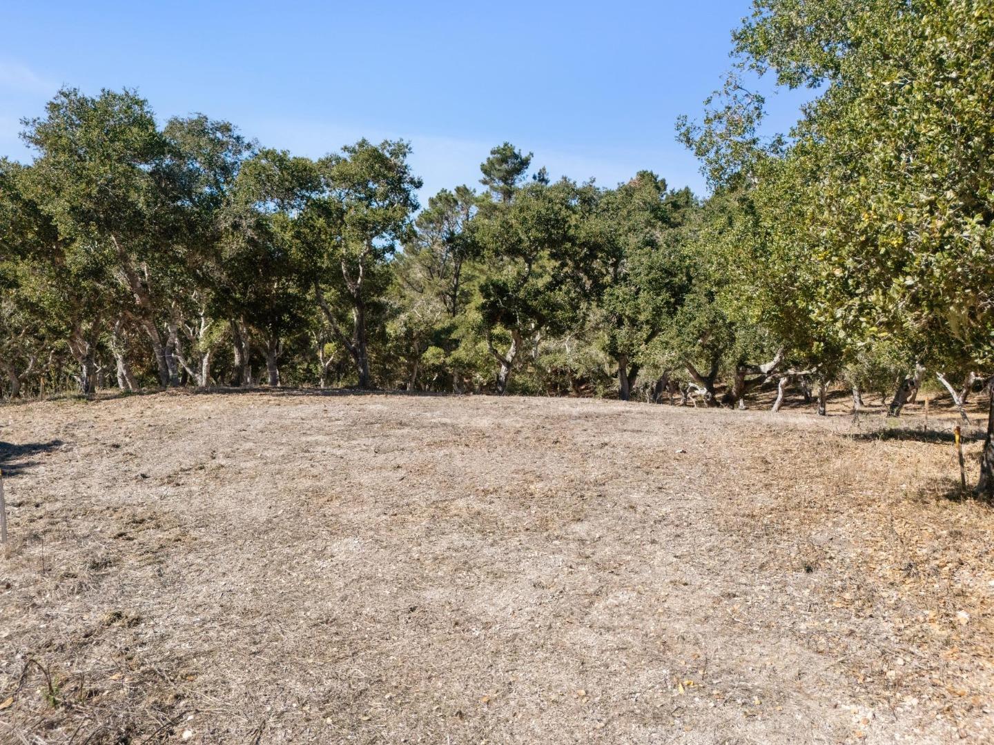 56 Marguerite (Lot 44)