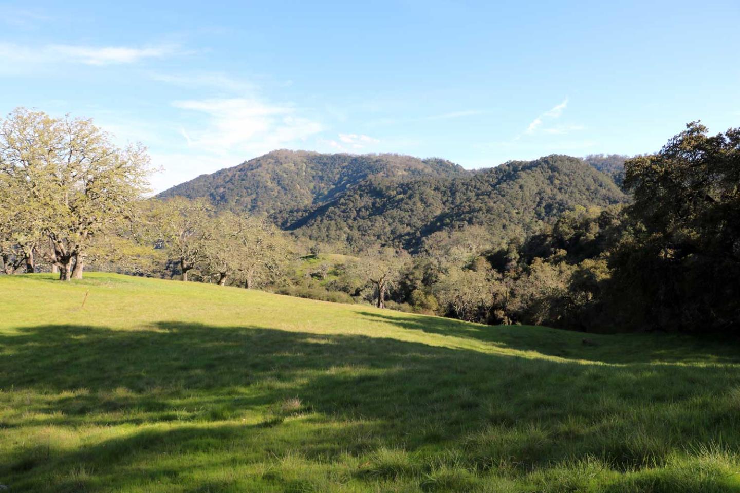 5 Black Mountain (Lot 247) Trail