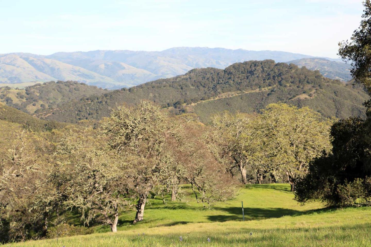 5 Black Mountain (Lot 247) Trail