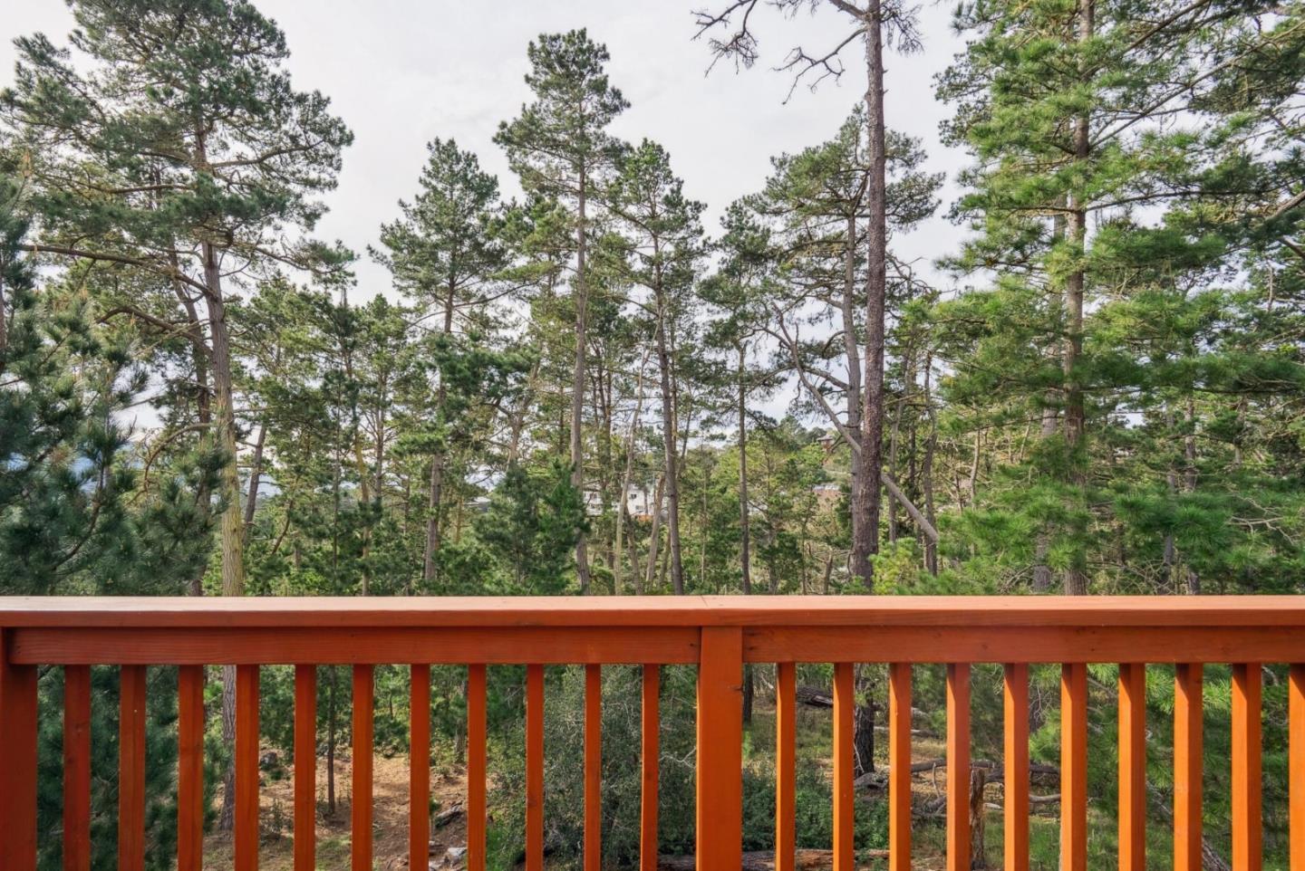 24501 Via Mar Monte 77