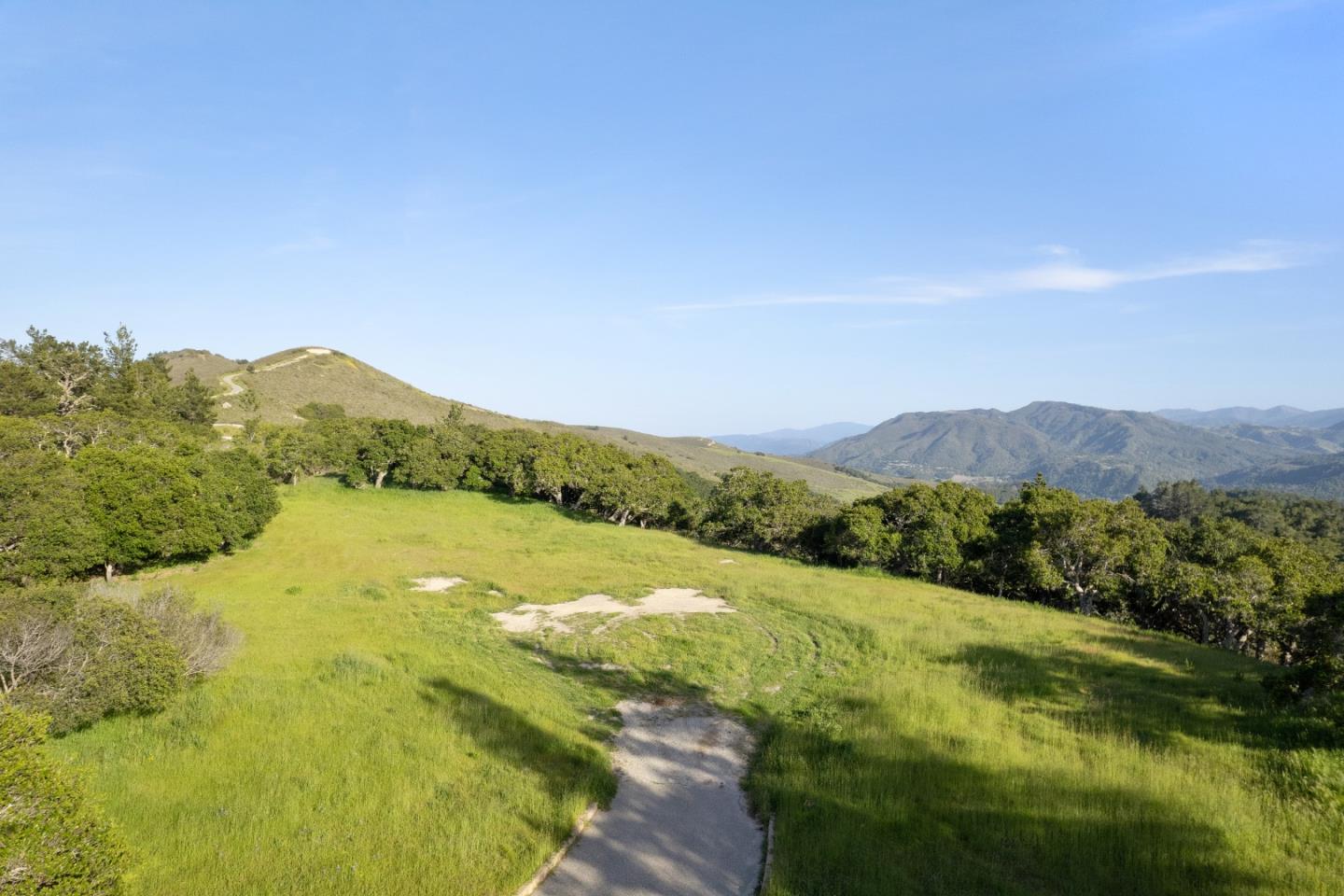 88 Linea De Fuego (Lot 62)