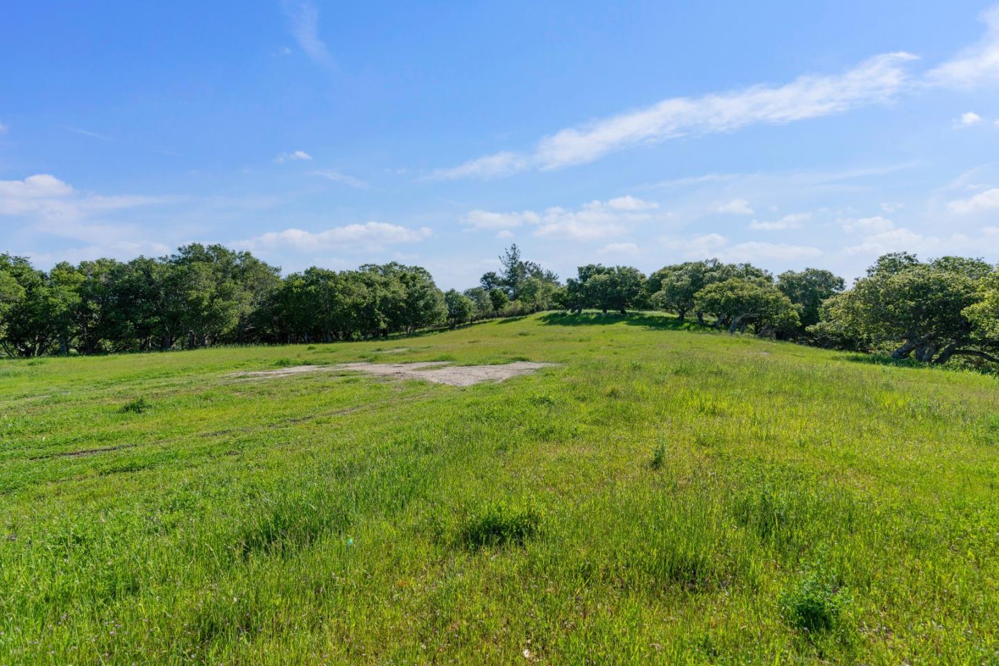 88 Linea De Fuego (Lot 62)