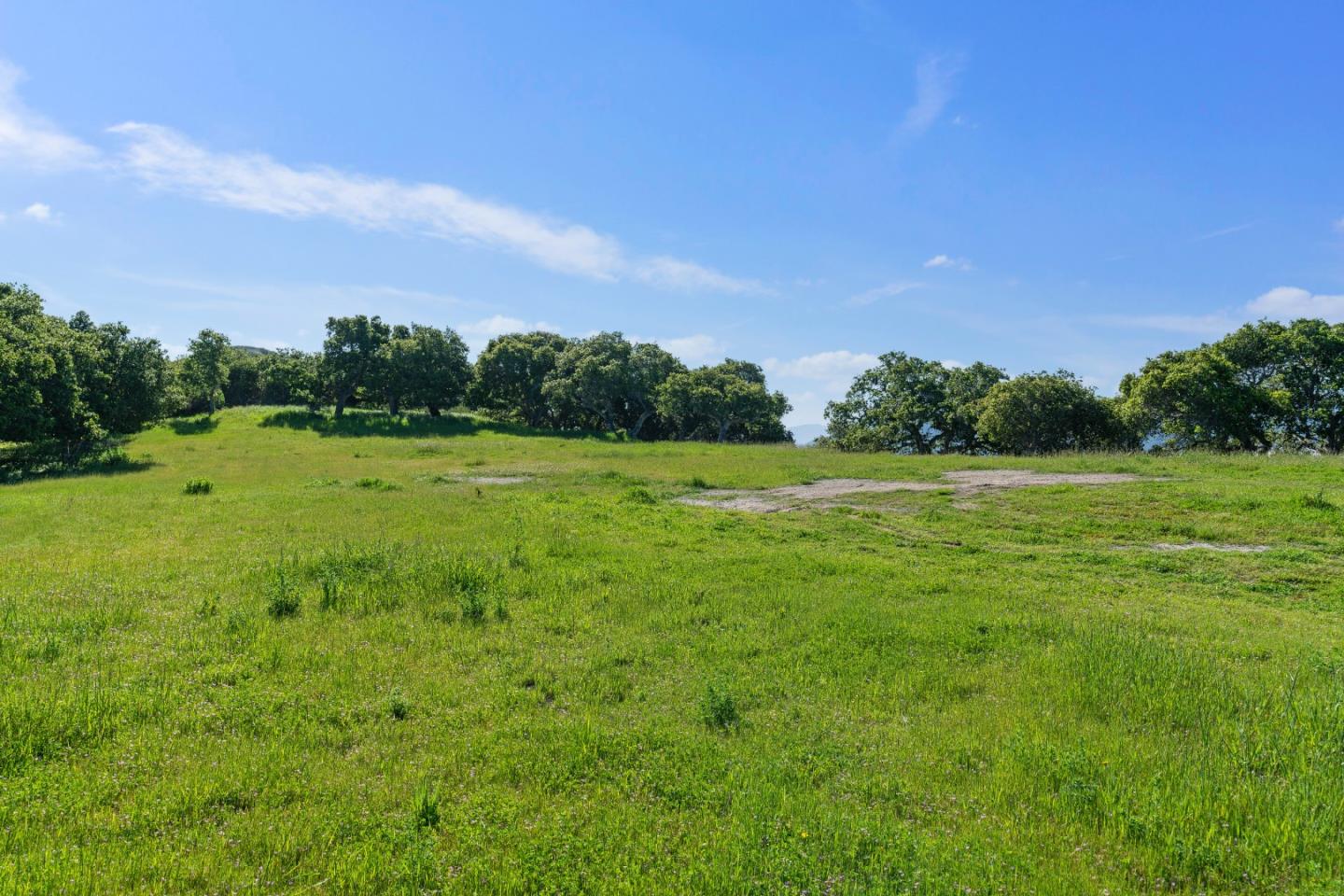 88 Linea De Fuego (Lot 62)