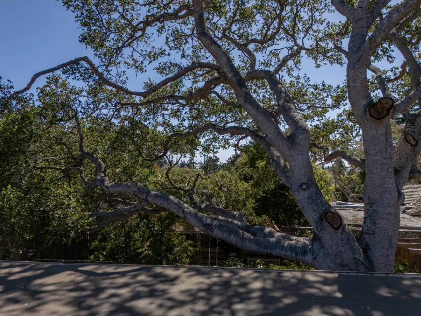 1034 Matador RD