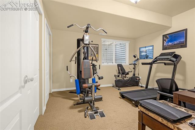 7163 Midnight Rose Drive