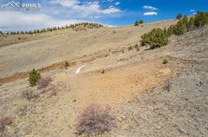 1538 County Road 1