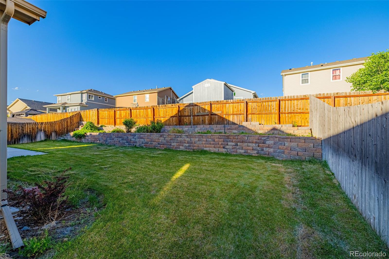 7255 Bigtooth Maple Drive