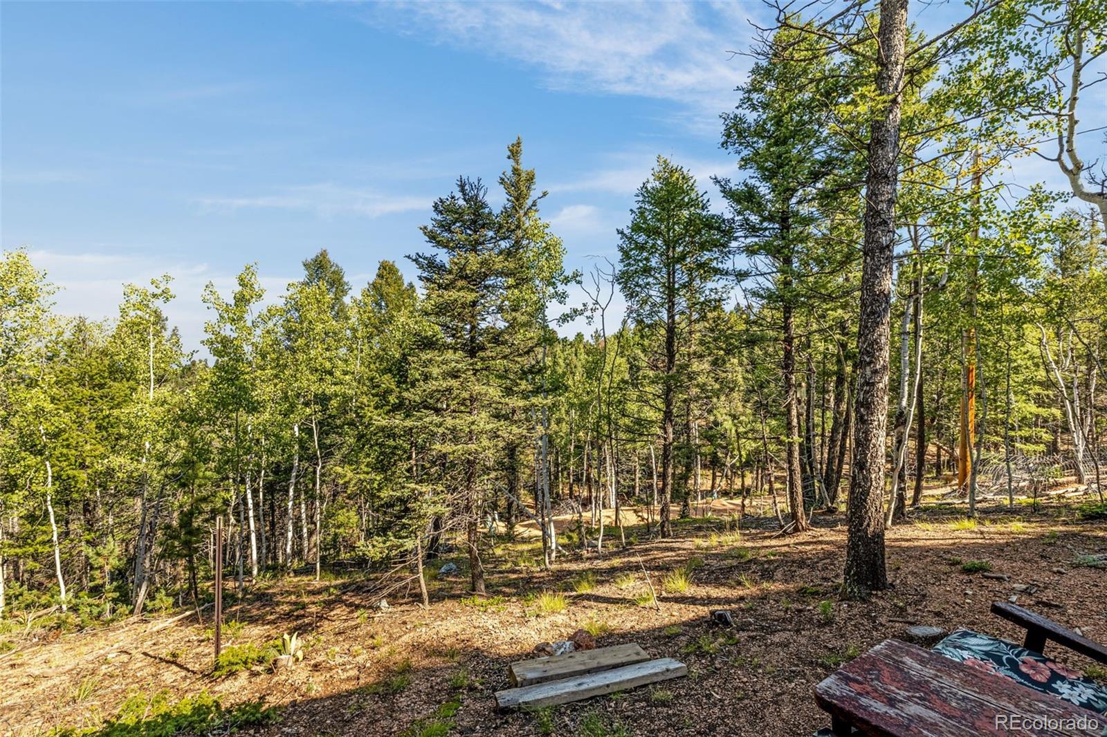 157 Alpine Road