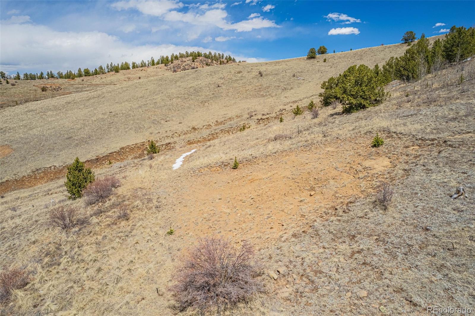 1538 County Road 1
