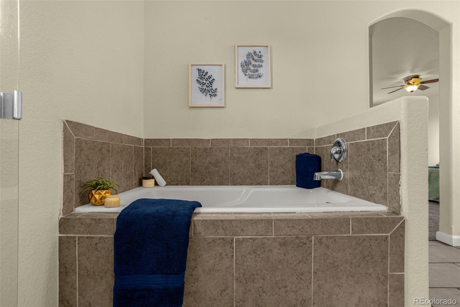 3704 Saguaro Circle