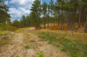 14420 Perry Park Road