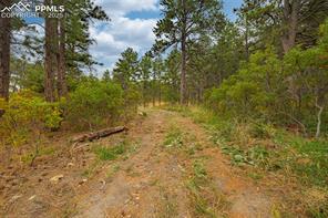 14420 Perry Park Road
