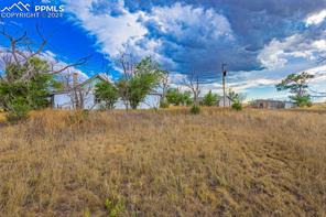 38355 Shear Road