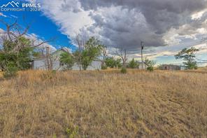 38355 Shear Road