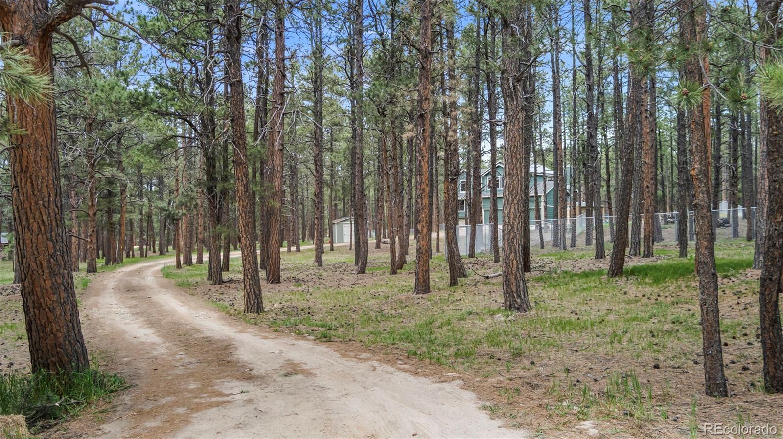 8180 Tannenbaum Road