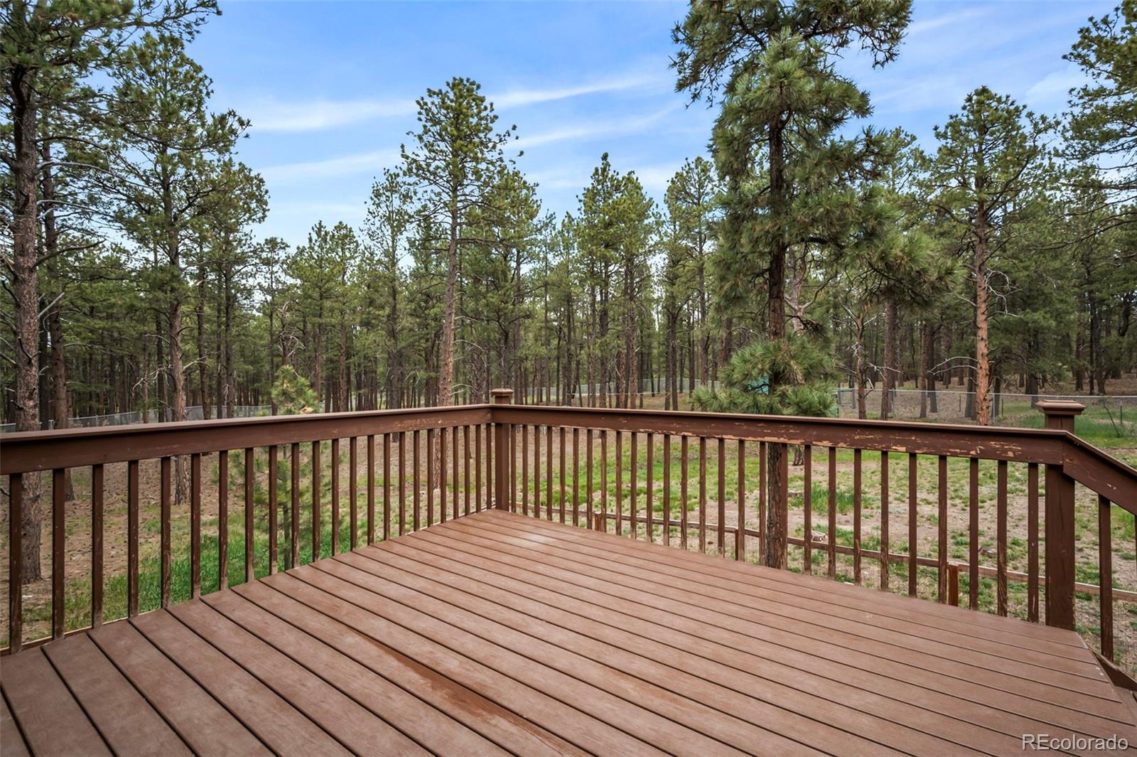 8180 Tannenbaum Road