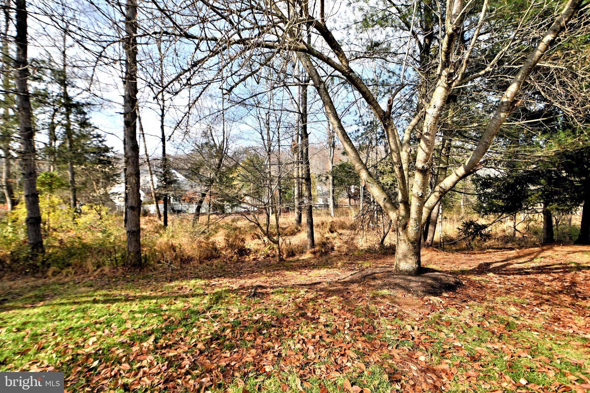 509 Waterford Ct