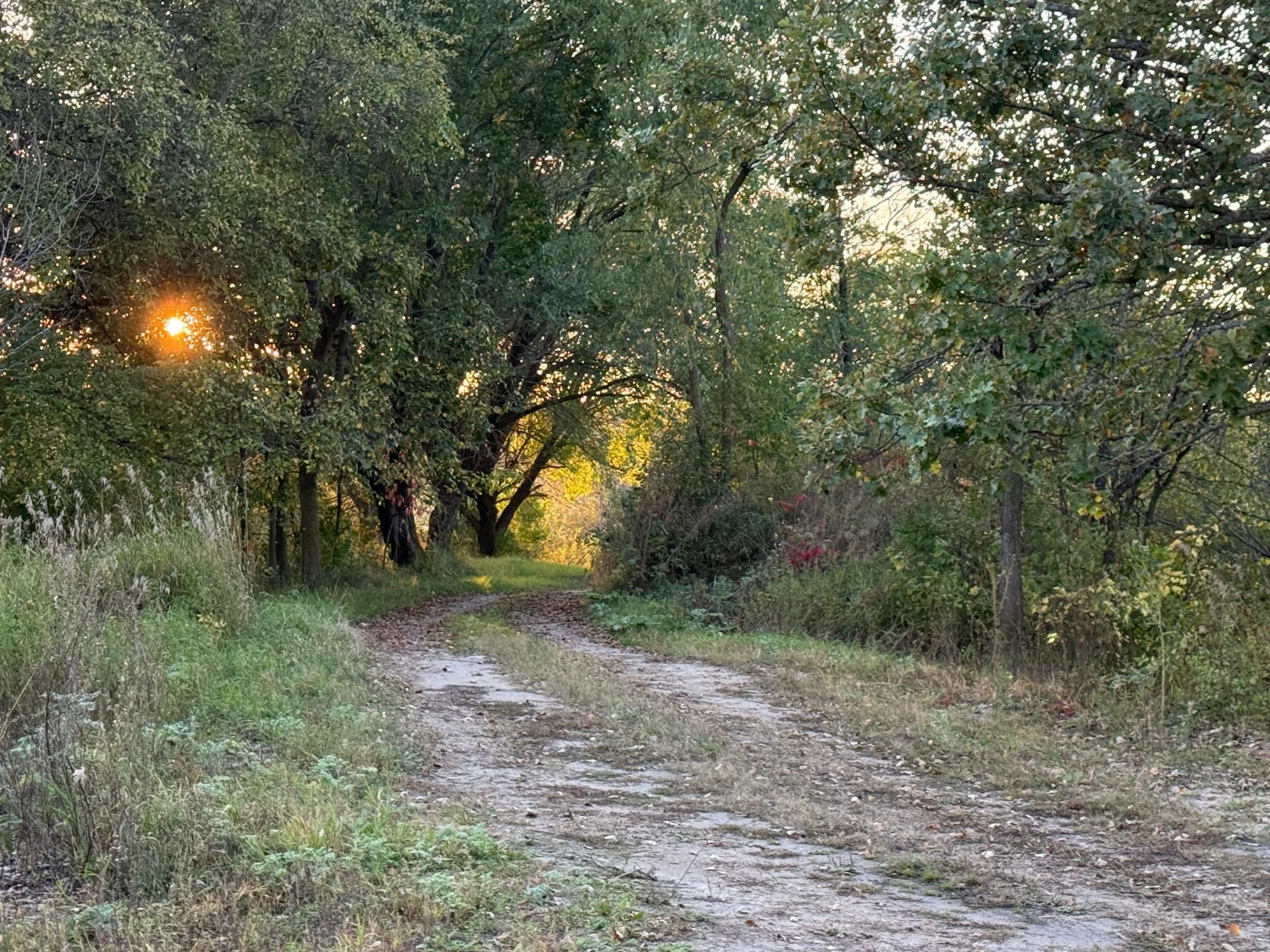 35515 State Highway 87