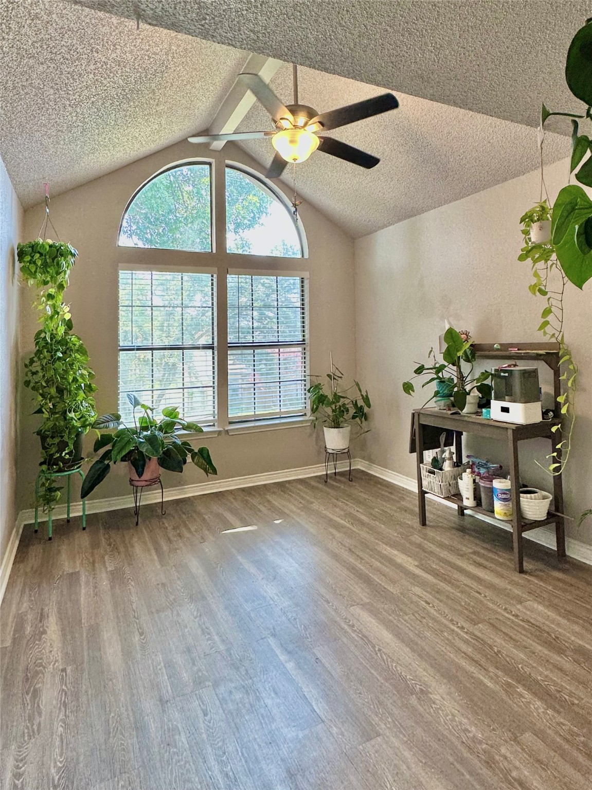 2412 Chapel Hill Lane
