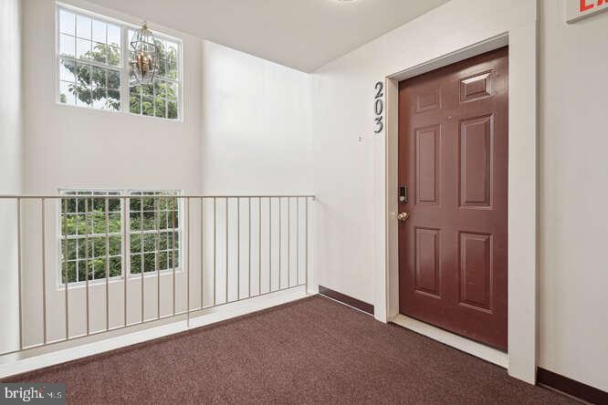 18705 SPARKLING WATER DR #203