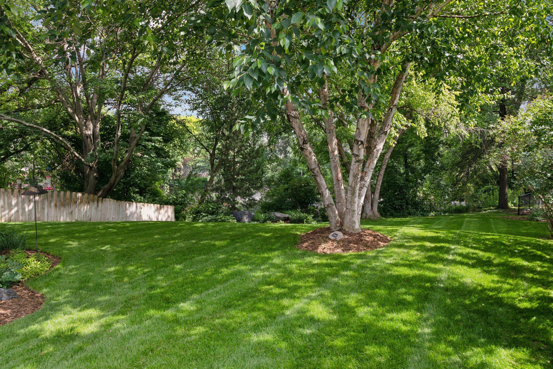 3649 Blue Jay Way