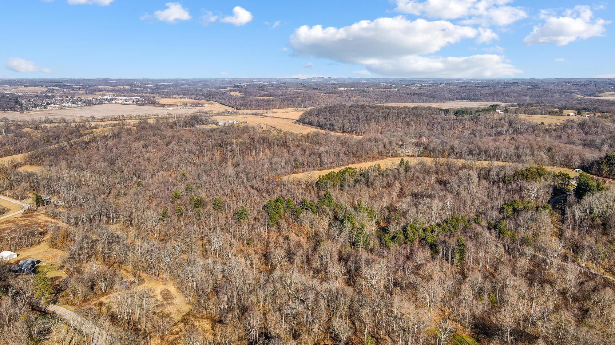 0 Mount Zwingli Road SE, LAND ONLY